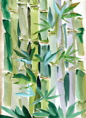 Obraz premium Watercolor bamboo