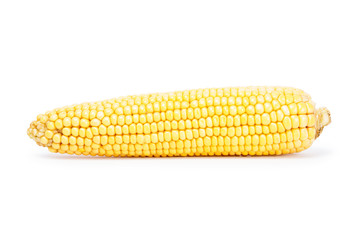 Corn isolated on white