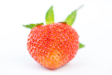 Strawberry on white background