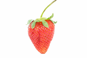Strawberry on white background