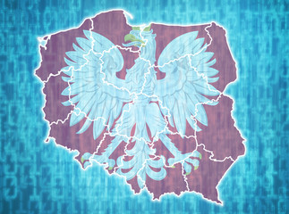 Naklejka premium poland administrative divisions