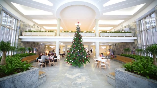 People sitting in hall with a New Year tree. 