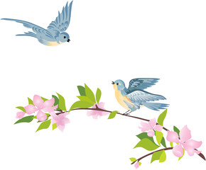 Birds and blooming tree