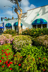 Beautiful gardens and building in downtown Laguna Beach, Califor