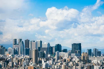 Foto op Plexiglas Uitzicht op Tokio © tomotokyo