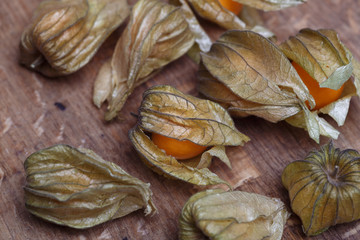 physalis