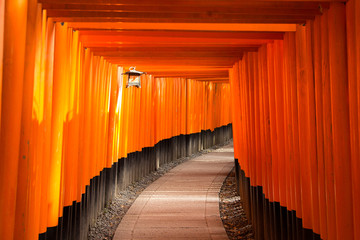 Fototapeta premium Fushimi Inari-Taisha