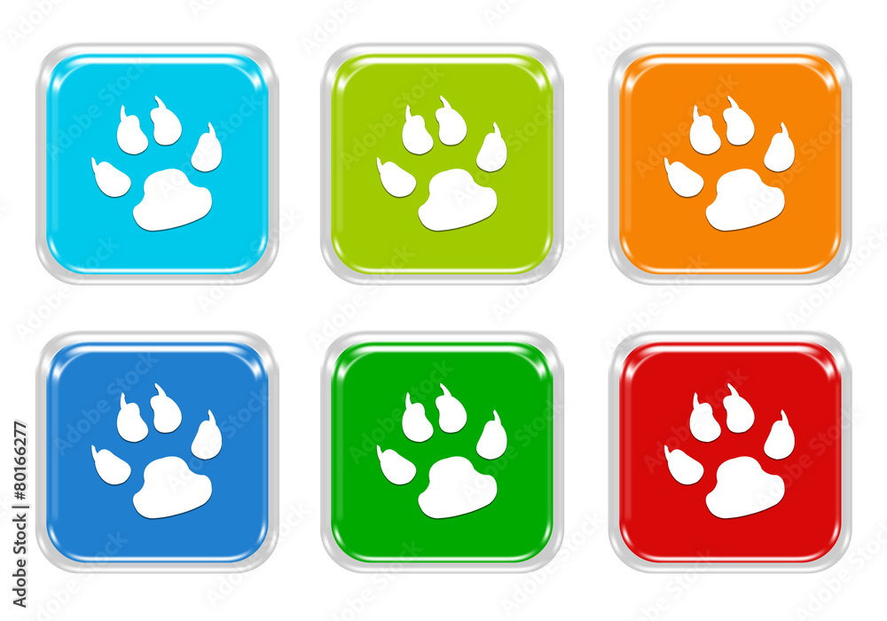 Poster set of squared colorful buttons with pet footprints symbol