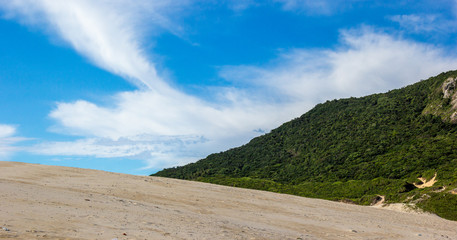 C&eacute;u, areia e floresta