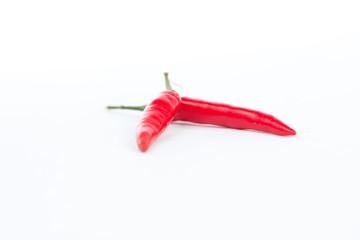 Fresh chili on white background