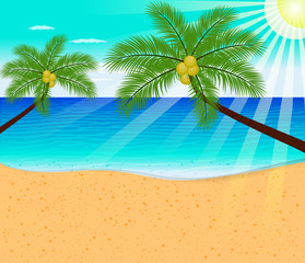 Fototapeta na wymiar Tropical beach with Palm Trees