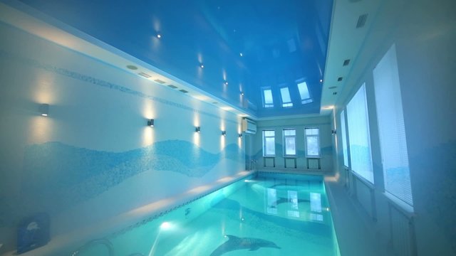 Indoor pool with images of dolphins at bottom and clear water