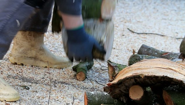 Firewood split, piled up, winter fuel, woodpile