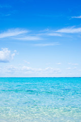 Obraz premium 沖縄の海・水平線と青空