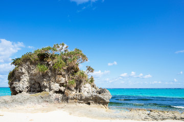 Fototapeta premium Plaża Okinawa Plaża Nagahama