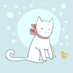 Nice white cat on light blue