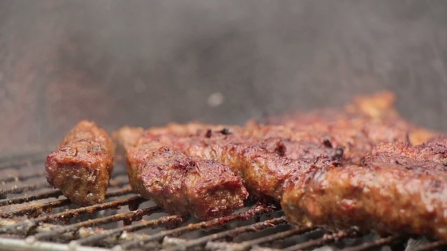 Barbecue Grill Minced Meat Kebabs 8