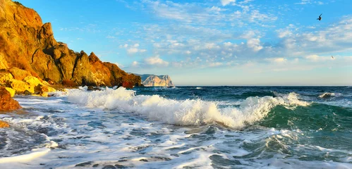 Sea