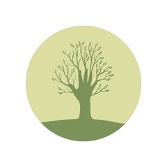 Obraz premium дерево