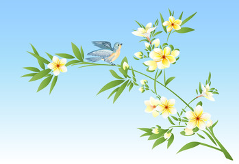 Plumeria & bird