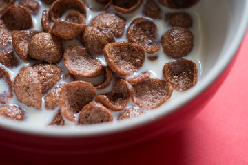 Chocolate cereal with milk