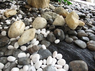 Various size of pebble stones Texture Background