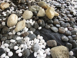 Various size of pebble stones Texture Background