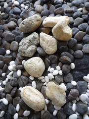 Various size of pebble stones Texture Background