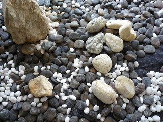 Various size of pebble stones Texture Background