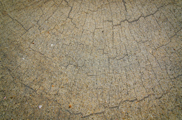 Fototapeta premium Sand beach and wood background.