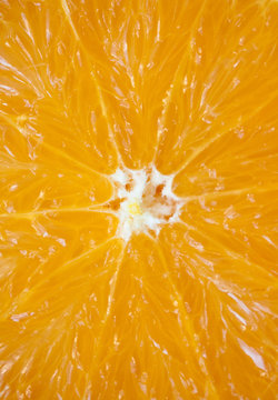 Background of juicy fresh orange. Macro shot