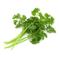 Persil - Parsley - Petersilie