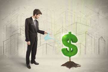 Business man poring water on dollar tree sign on city background