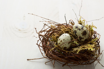 Naklejka na ściany i meble Two Quail eggs in nest on wooden table. Easter Decor
