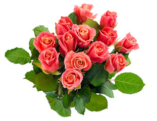 Obraz premium Pink roses bouquet