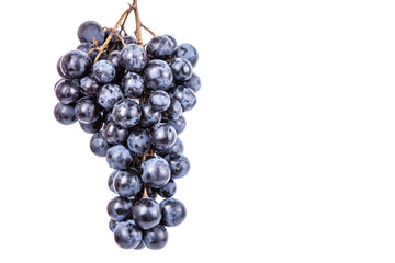 Grape on white background