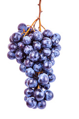 Grape on white background