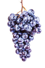 Grapes isolated on white background