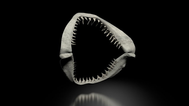 old shark jaw with transparent effect and alpha channel