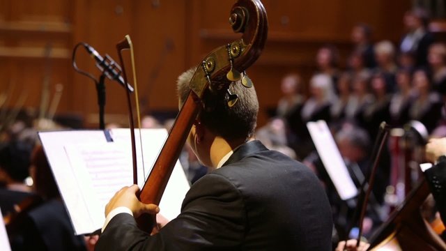 Violoncellist playing in the orchestra on stage conservatory