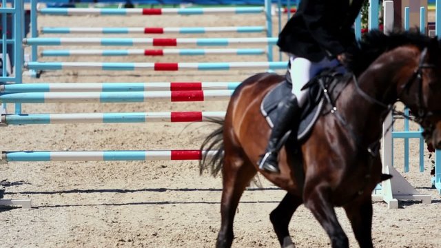 Horse with rider jumps over three barriers at competitions
