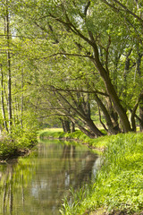 Springtime and a small River