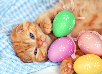 Red kitten lying on a plaid blanket with Easter colored eggs