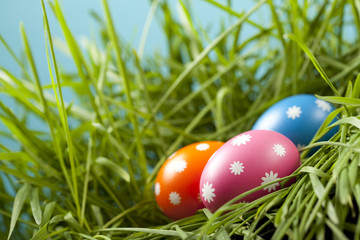 Colored Easter eggs in grass