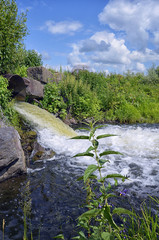 Discharge of water from a metal pipe in the river