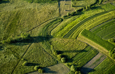 Fields view from above