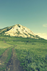 Beautiful summer landscape