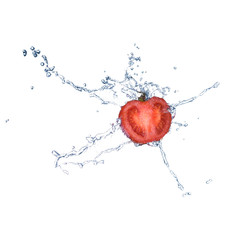 Tomato in spray of water. Juicy tomato with splash