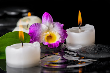 spa concept of purple orchid dendrobium, leaf with dew and candl