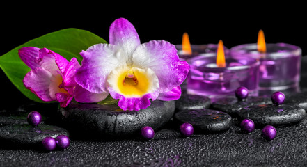 Obraz na płótnie Canvas spa background of purple orchid dendrobium, green leaf Calla lil